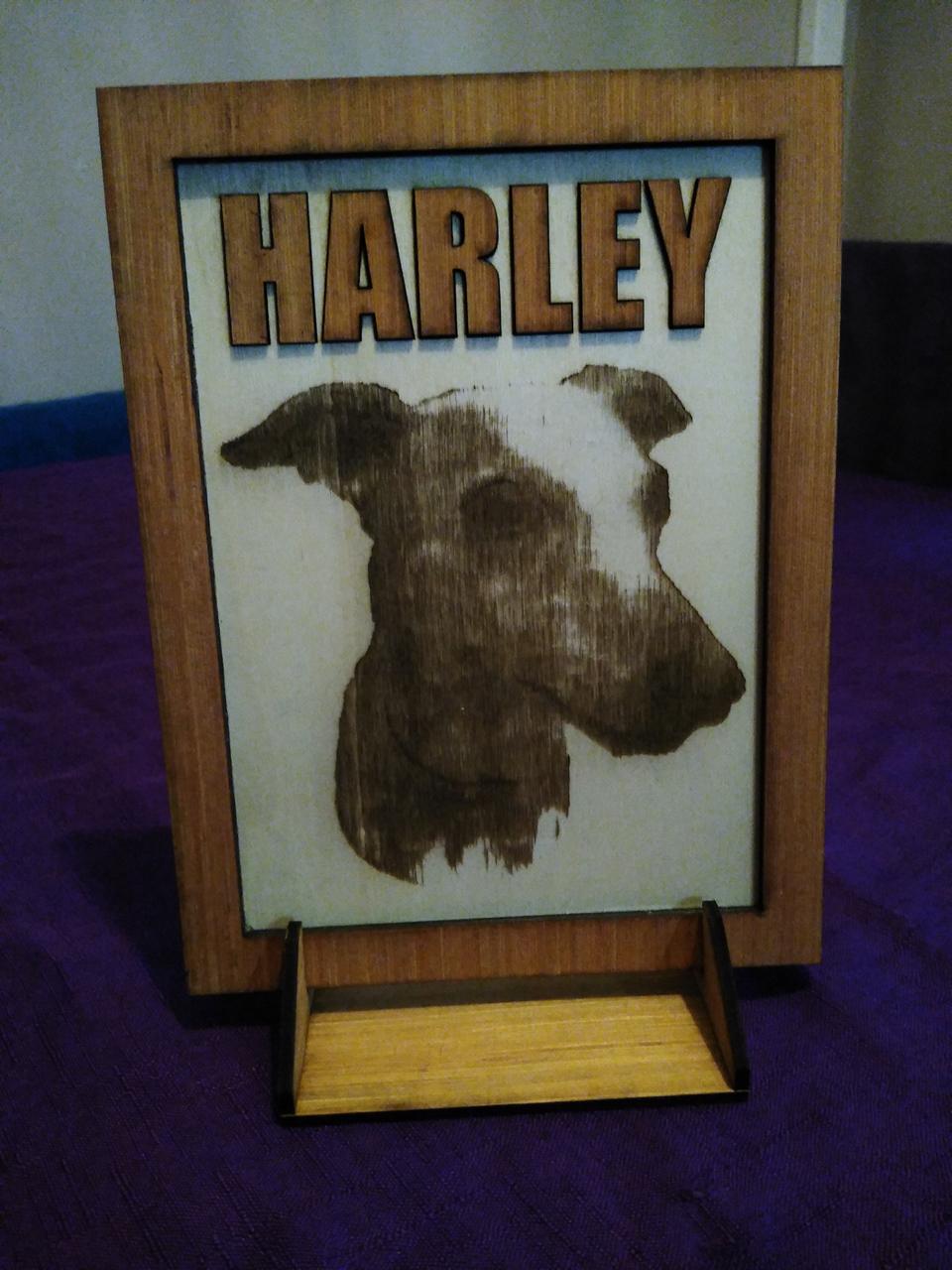 Harley dog portrait