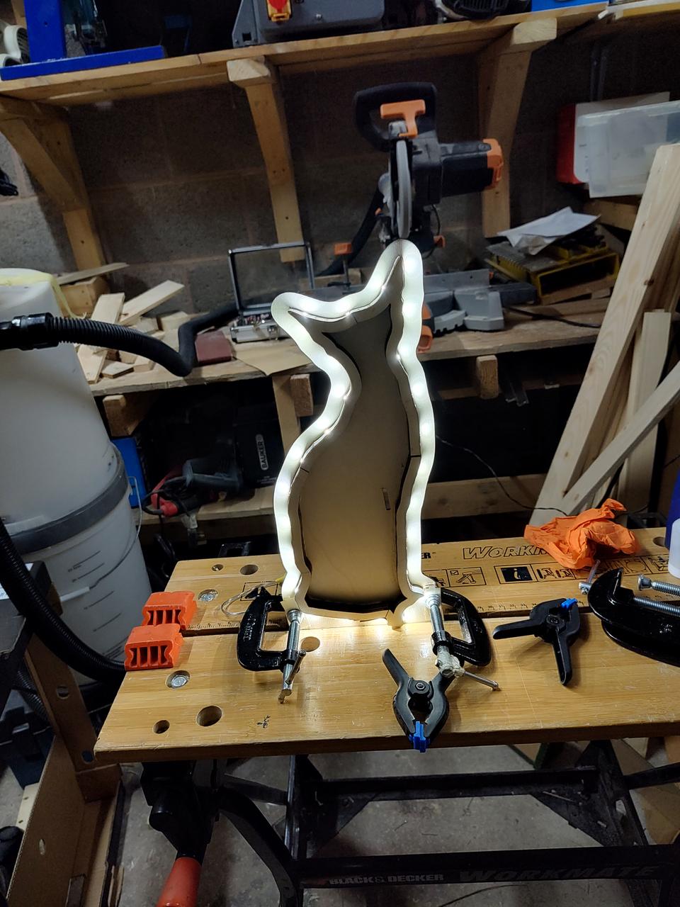 Siamese cat halo light